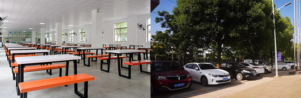 среда обитания