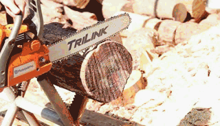 Блестящий тест на лесозаготовку в Санлиане